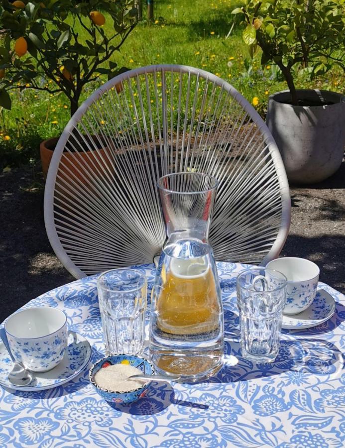 Villa Rosen - Ferienwohnungen Bad Reichenhall Exteriér fotografie