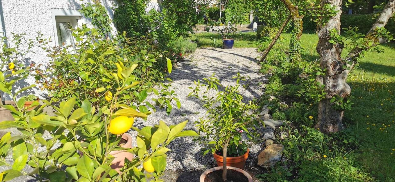 Villa Rosen - Ferienwohnungen Bad Reichenhall Exteriér fotografie