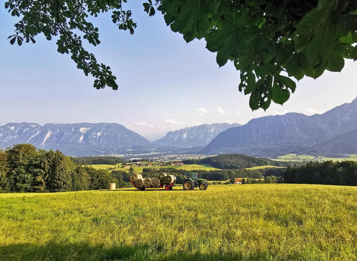 Villa Rosen - Ferienwohnungen Bad Reichenhall Exteriér fotografie