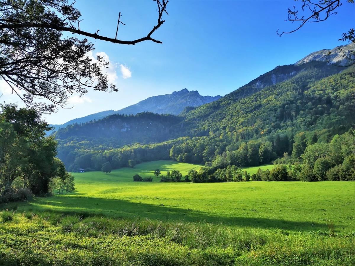 Villa Rosen - Ferienwohnungen Bad Reichenhall Exteriér fotografie